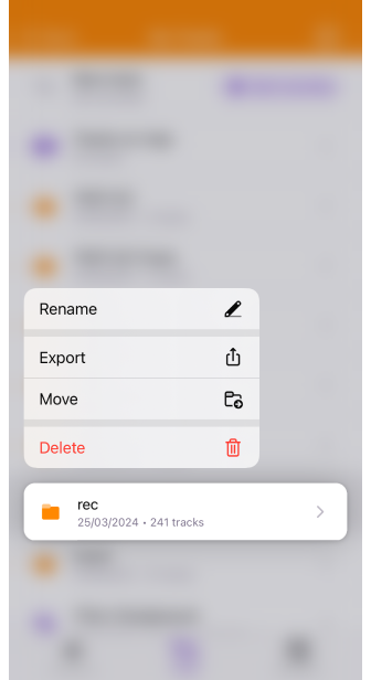 Kontextmenü eines Tracks in iOS