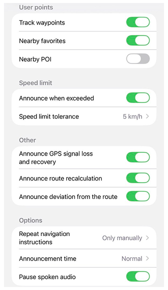Sprachnavigationseinstellungen iOS